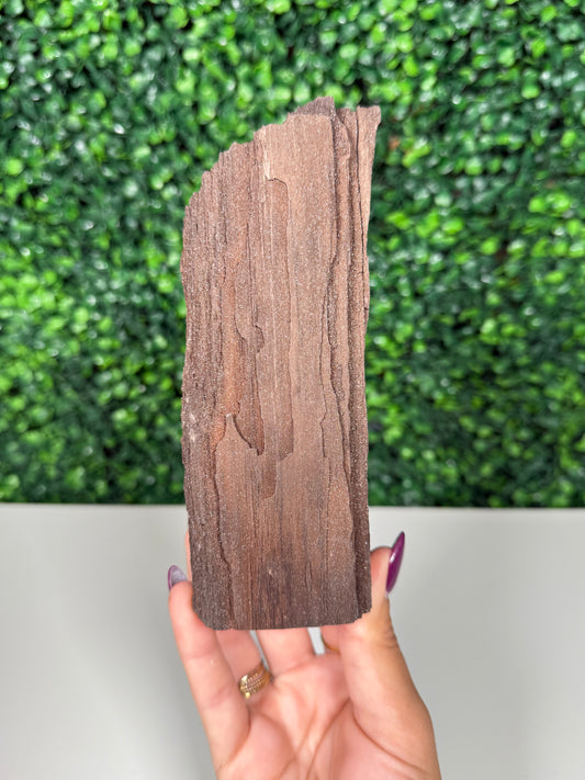 Self-Standing Permineralized Wood (180f)