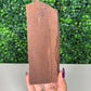 Self-Standing Permineralized Wood (240)