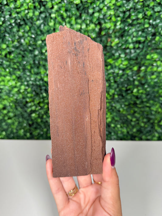 Self-Standing Permineralized Wood (240)