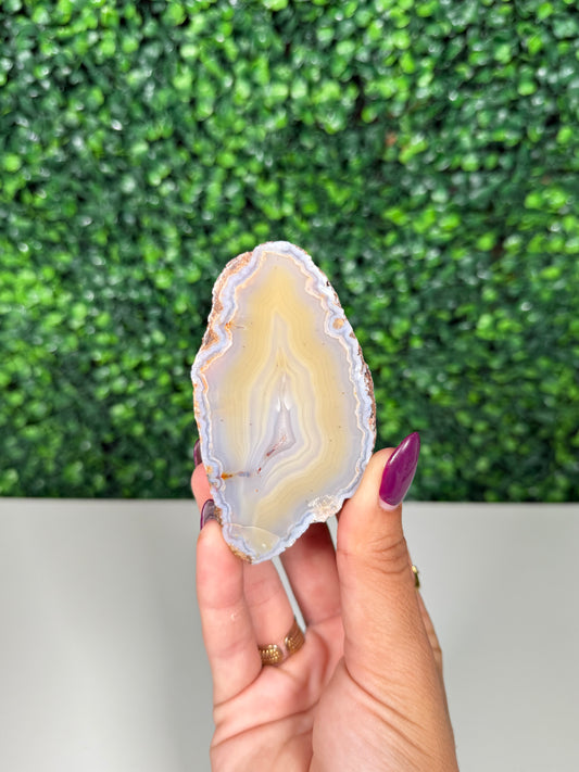 Patagonia Agate (250)