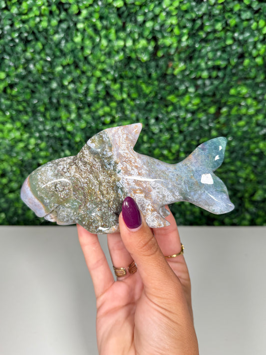 Sea Jasper Shark (59h)