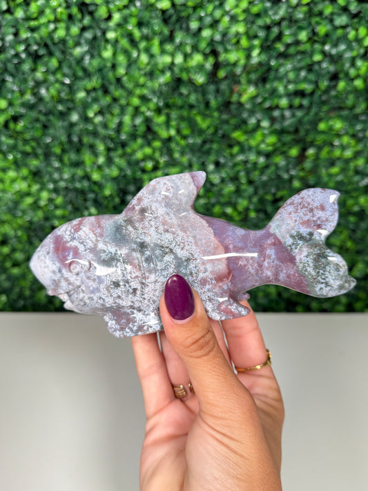Sea Jasper Shark (64c)