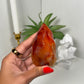 Carnelian Flame (15G)