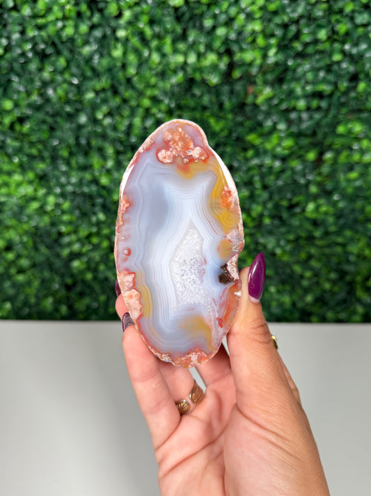 Patagonia Agate (320)