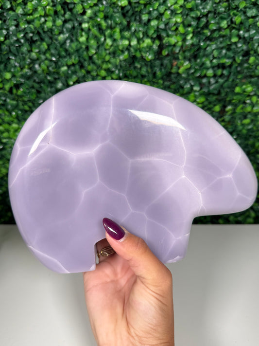 XL Lavender Fluorite Bear (440p)