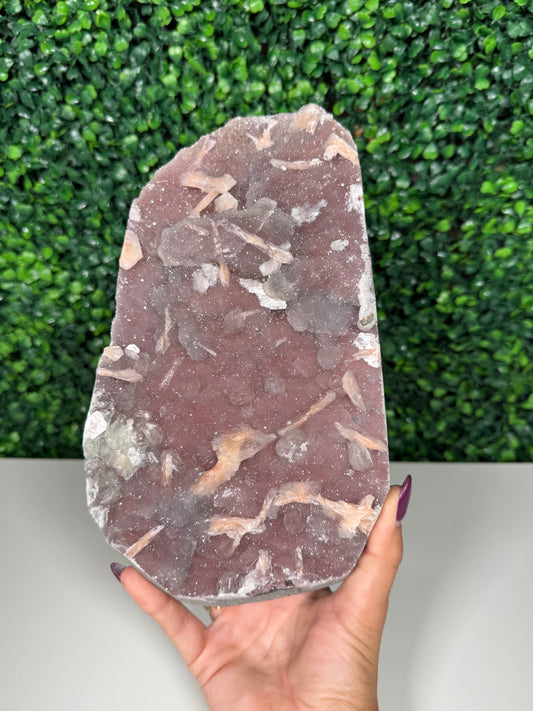 Pink Chalcedony Cutbase with Peach Stillbite (453)