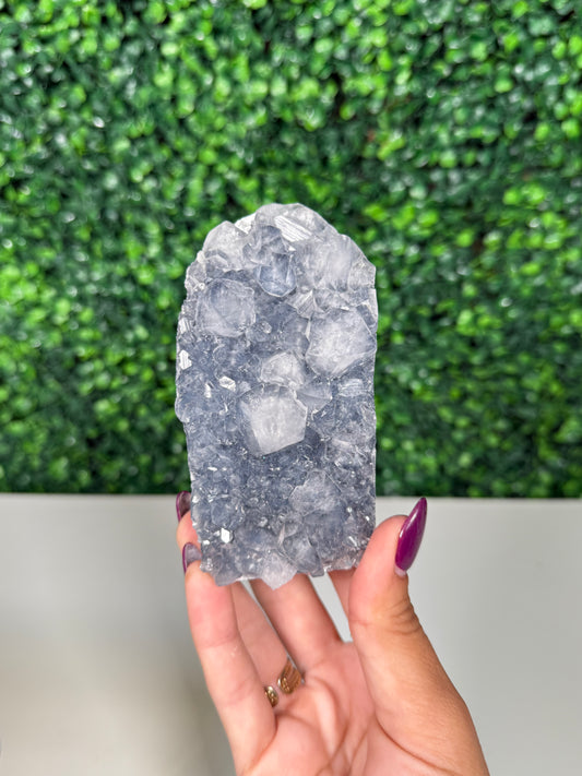 Blue Chalcedony with Apophyllite Cutbase (73k)