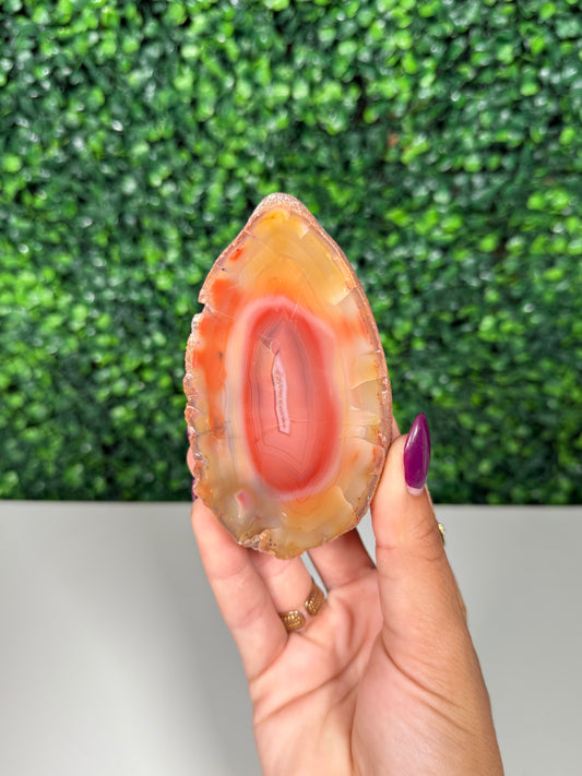 Patagonia Agate (245)