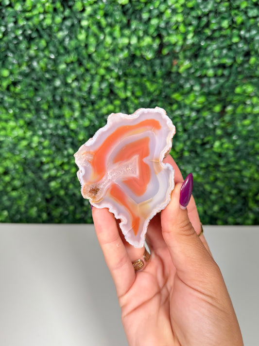 Patagonia Agate (240)