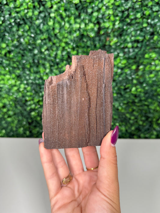 Self-Standing Permineralized Wood (150c)