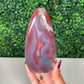 Mozambique Agate Freeform (170)