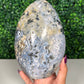 Sea Jasper Freeform (205)