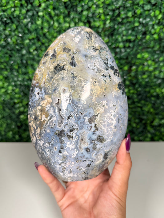 Sea Jasper Freeform (205)