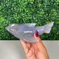 Orca Agate Dolphin (70d)