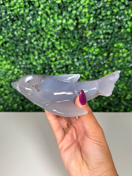Orca Agate Dolphin (70d)