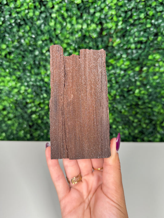 Self-Standing Permineralized Wood (160n)