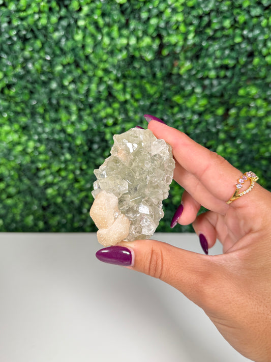 Green Apophylite with Stillbite Cluster (63e)