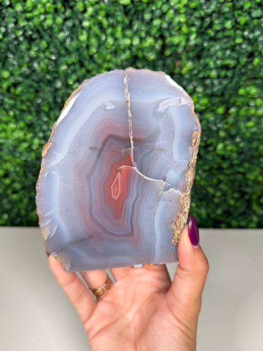 Swazi Agate Cutbase (250)