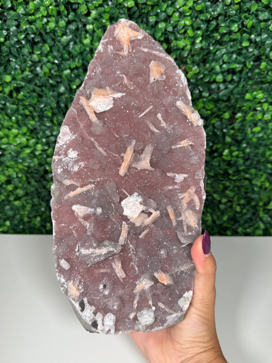 Pink Chalcedony Cutbase with Peach Stillbite (537)