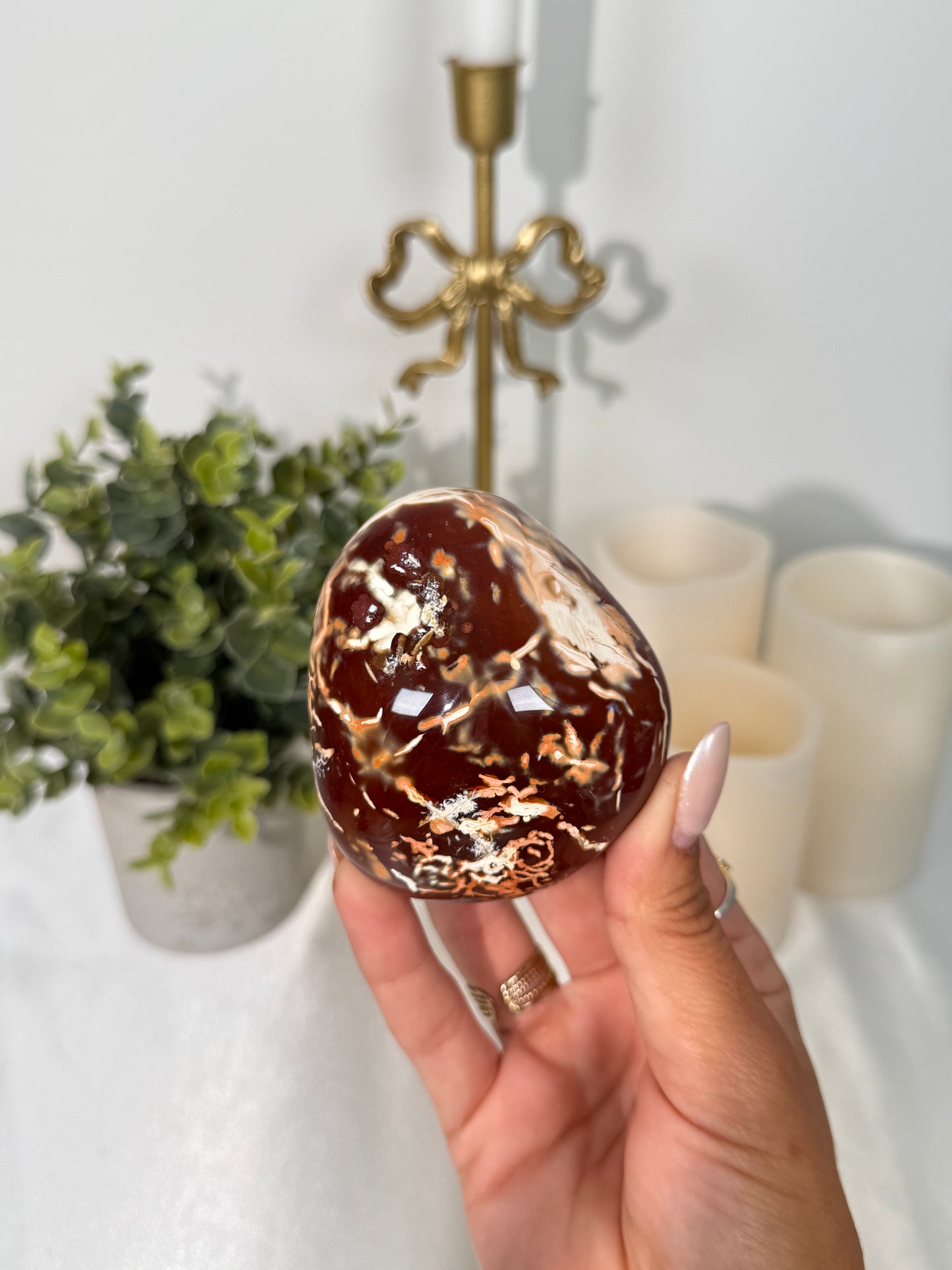 Carnelian Agate Palm (23v)