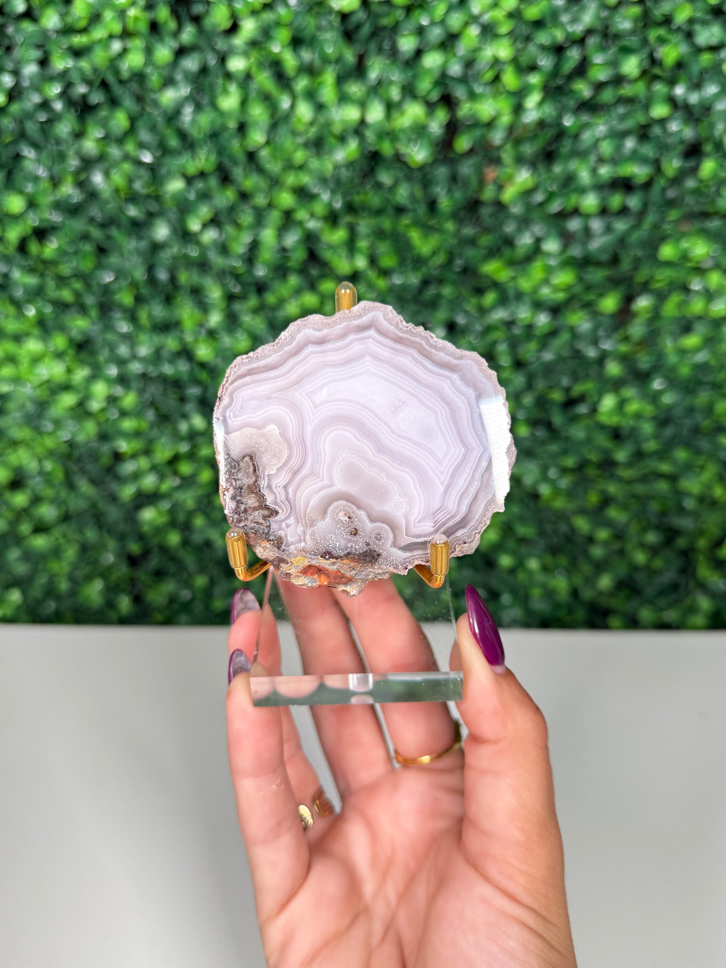 Laguna Agate on Stand (170s)