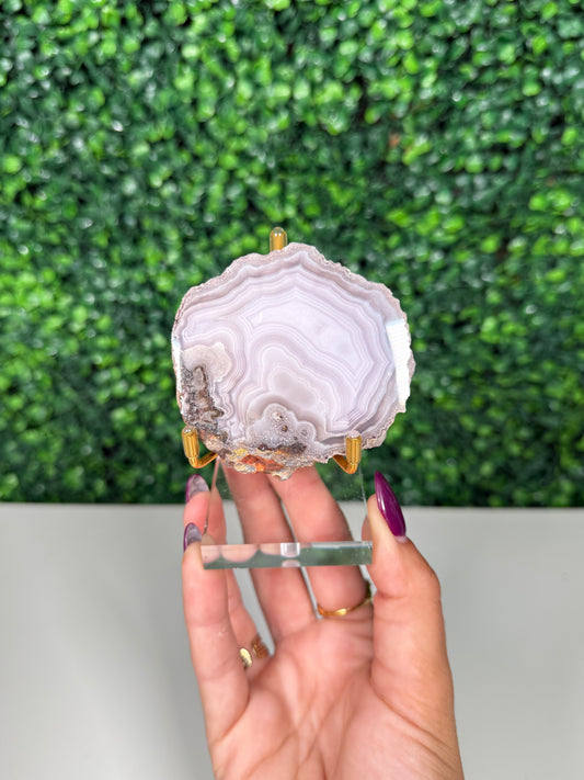 Laguna Agate on Stand (170s)