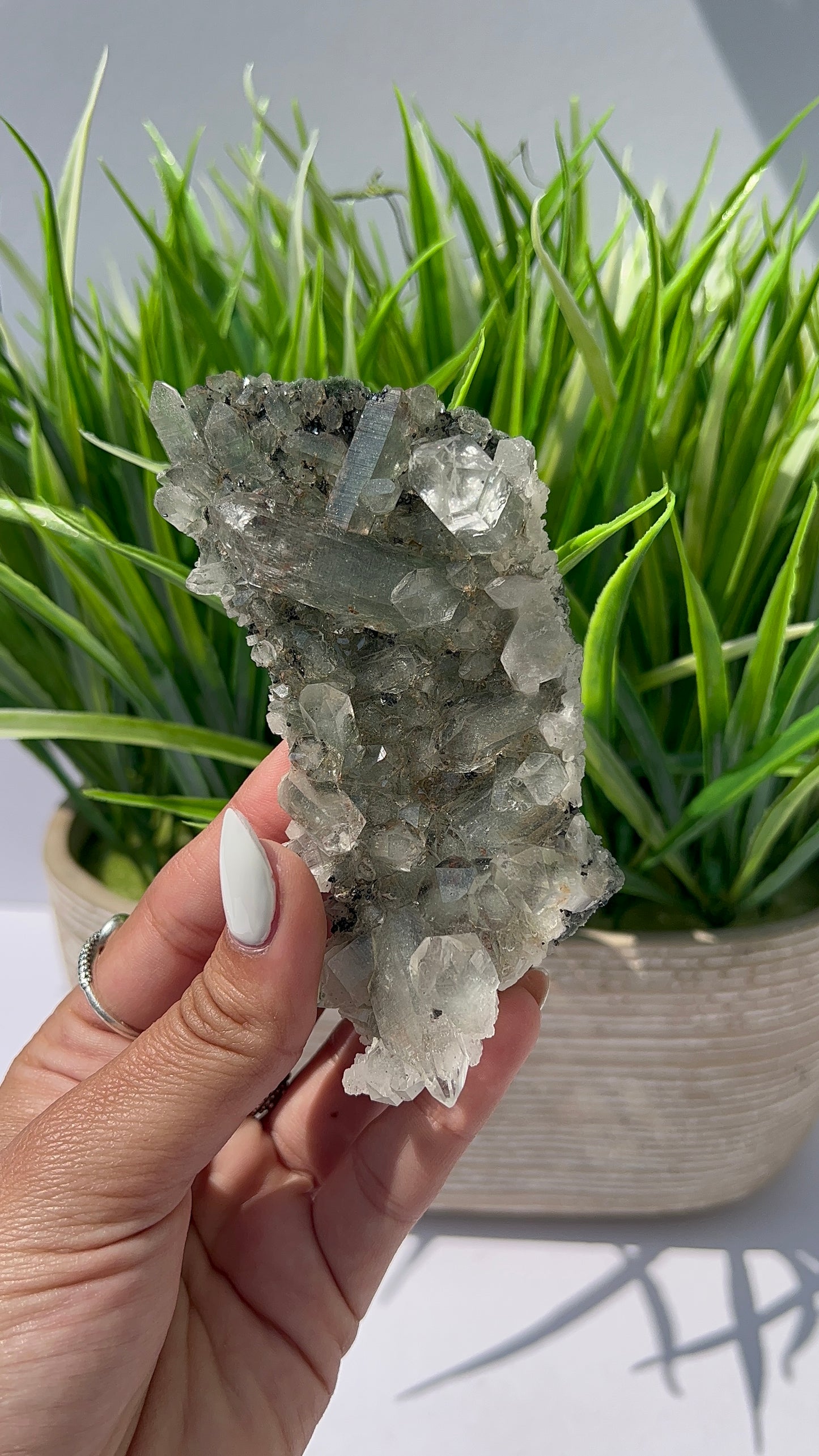 Himalayan Quartz Cluster with Green Chlorite (124)